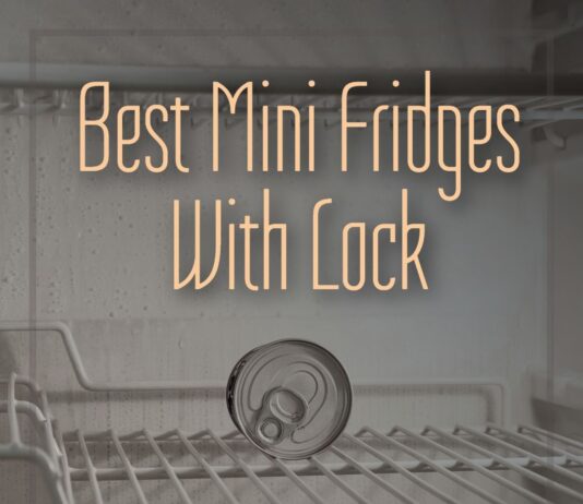 Best Mini Fridges With Lock